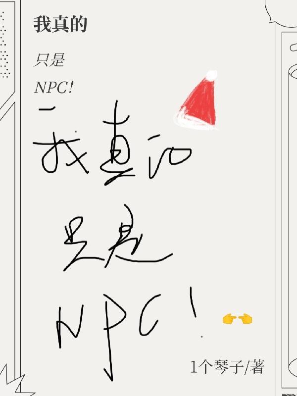 我真的只是NPC!