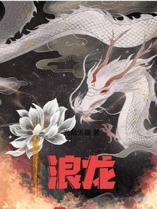 浪龙手机壳质量怎么样