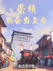 崇祯皇子