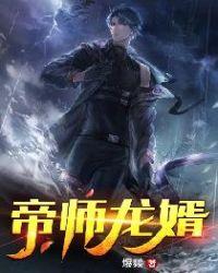 帝师龙婿 在线 免费