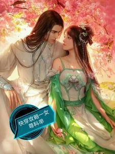 女攻快穿攻略文