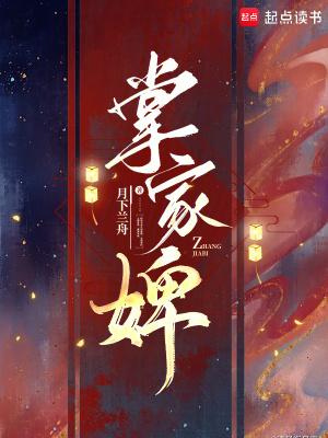 掌家婢完结了吗