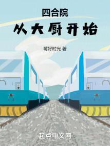 四合院从大厨开始最