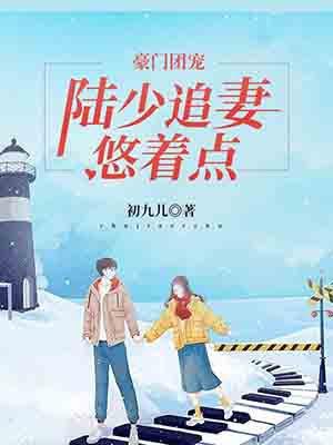 豪门盛宠之陆少宠上瘾