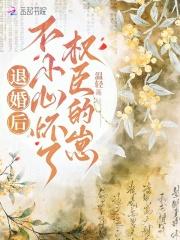 退婚后不小心怀了权臣的崽TXT