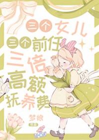 三倍高额抚养费作者梦娘