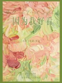 因为我好看txt