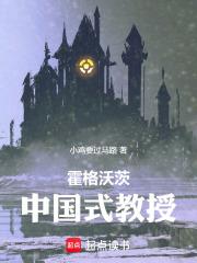霍格沃茨中国式教授无删减全文免费阅读