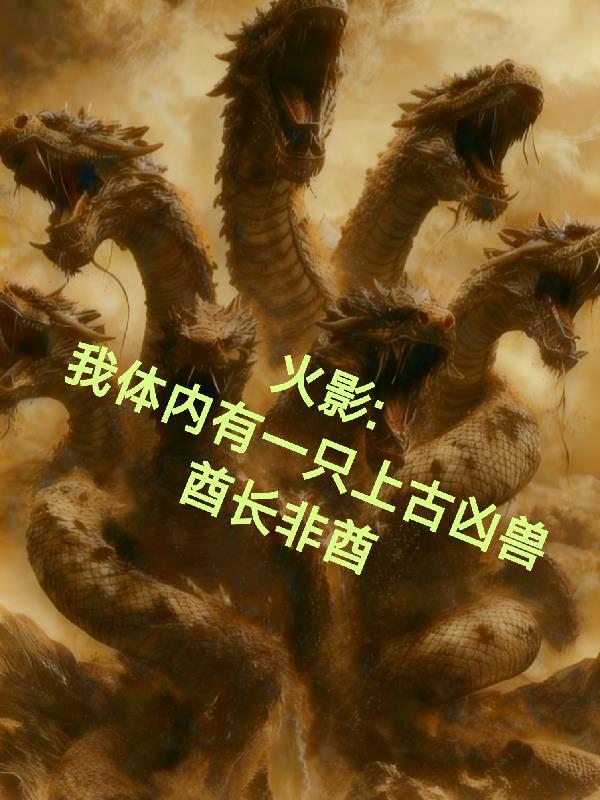 火影之体内有