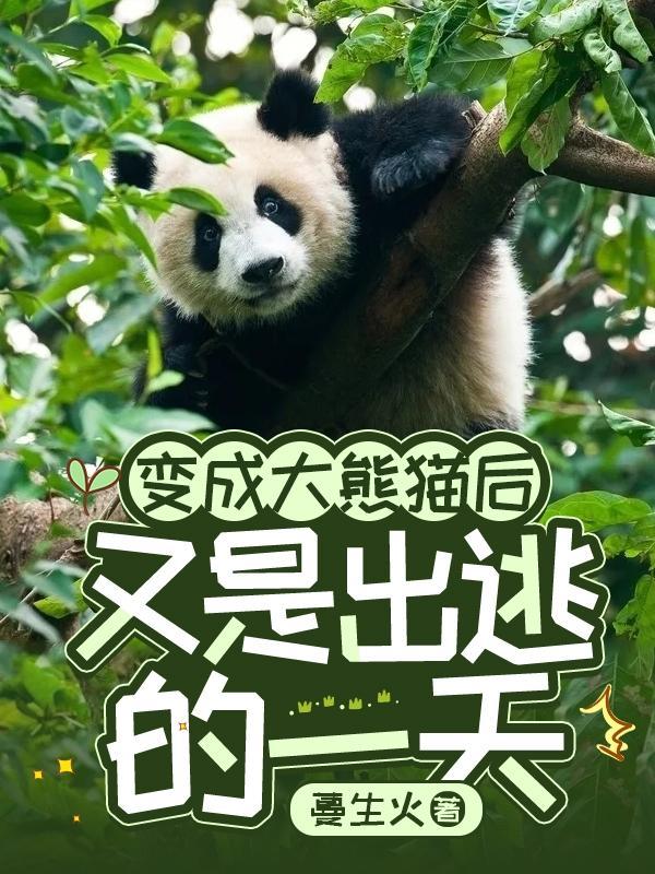 大熊猫作文450字