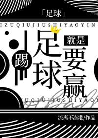足球踢足球就是要赢番外