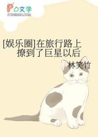在路上旅游免费阅读