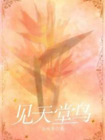 见天堂鸟许宁傅知惟