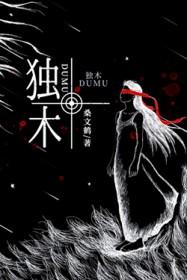 独木成船双木林是什么数字