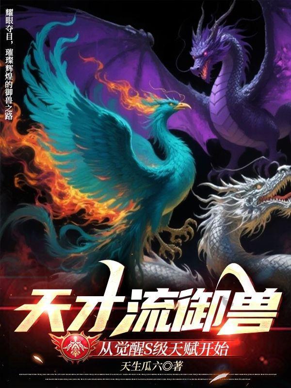 天才流推荐