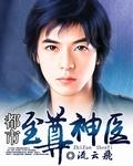 都市至尊神医 流云飞