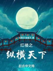 红楼之纵横天下无防盗