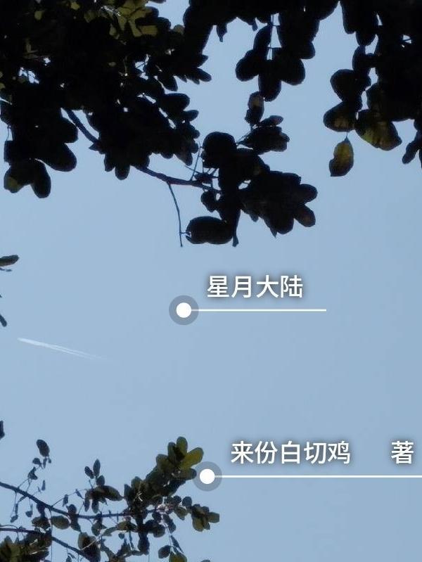 星月大陆萧初然最新章节更新时间