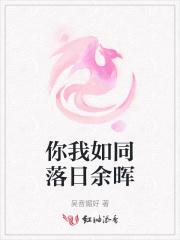 你就像落日的余晖