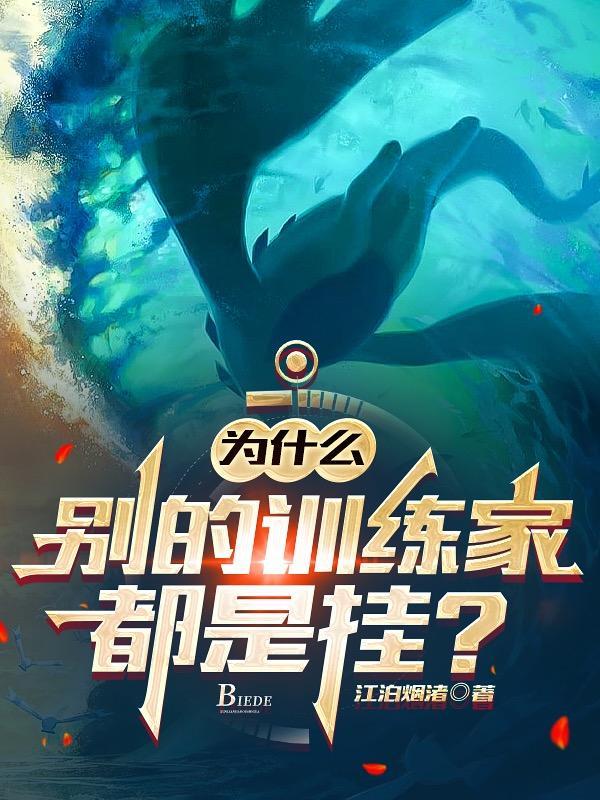 训练家等级划分
