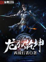 龙驭乾坤之乱世