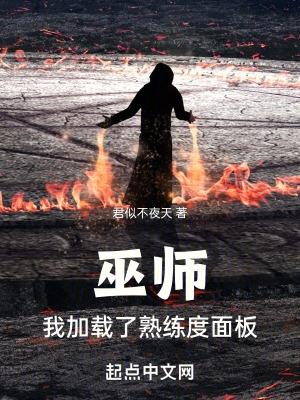 巫师:我加载了熟练度面板